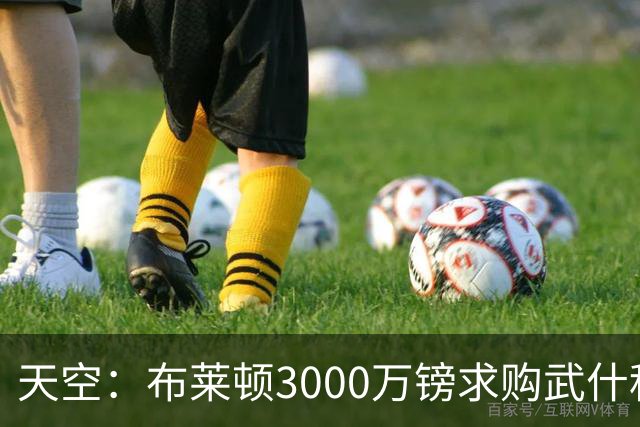 天空：布莱顿3000万镑求购武什科维奇，预计热刺对其估值超6000万