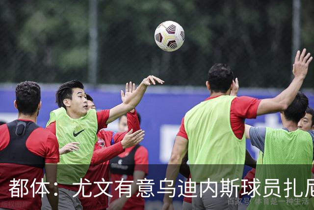 都体：尤文有意乌迪内斯球员扎尼奥洛，想把卡巴尔阿季奇加入谈判